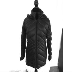 BCBG Ultra Lightweight Down Jacket